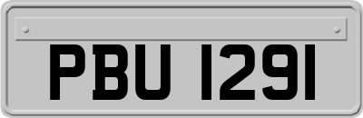 PBU1291