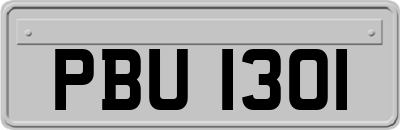 PBU1301