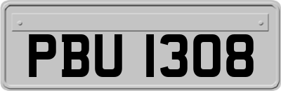 PBU1308