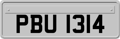 PBU1314