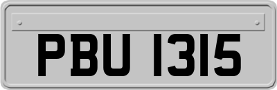 PBU1315