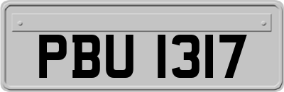 PBU1317