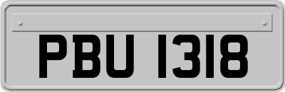 PBU1318