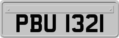 PBU1321