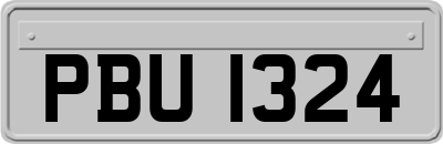 PBU1324