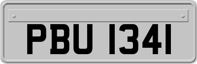 PBU1341