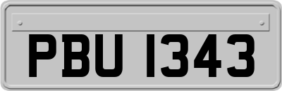 PBU1343