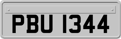 PBU1344