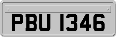 PBU1346