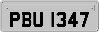 PBU1347