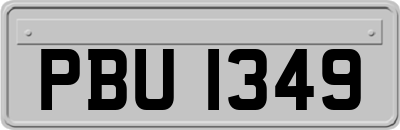 PBU1349