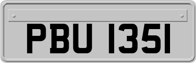 PBU1351