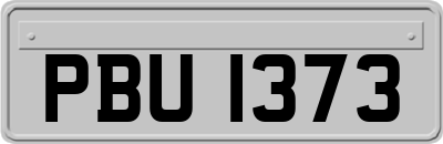 PBU1373