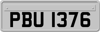 PBU1376