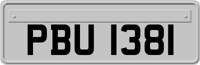 PBU1381