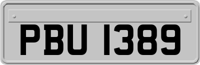 PBU1389