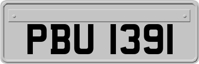 PBU1391