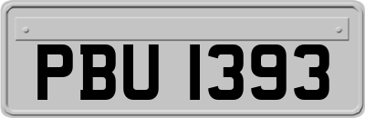 PBU1393