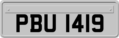 PBU1419