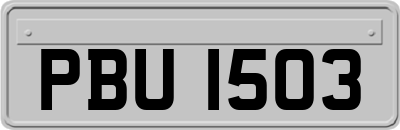 PBU1503