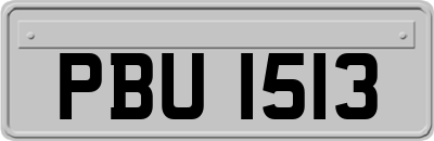 PBU1513