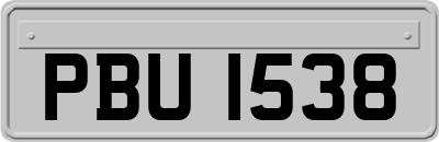 PBU1538