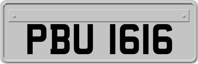 PBU1616