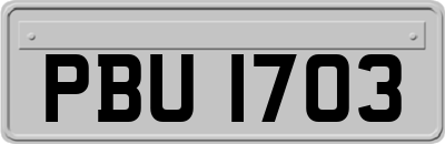 PBU1703