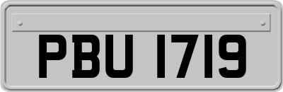 PBU1719