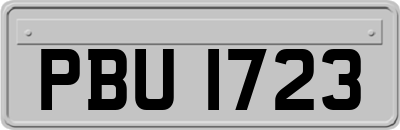 PBU1723