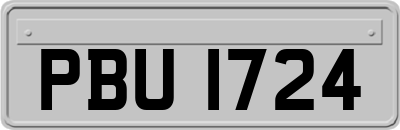 PBU1724