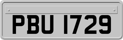 PBU1729