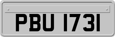 PBU1731