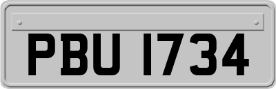 PBU1734