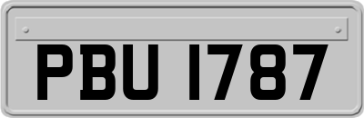 PBU1787