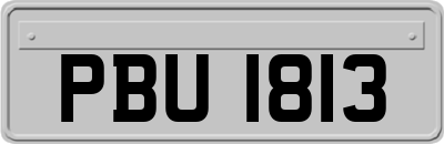 PBU1813