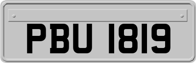 PBU1819