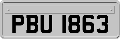 PBU1863