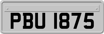 PBU1875