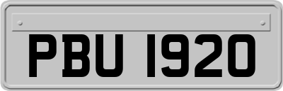 PBU1920