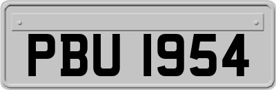 PBU1954