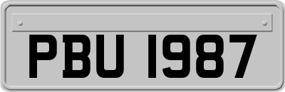 PBU1987