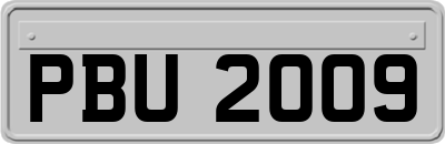 PBU2009