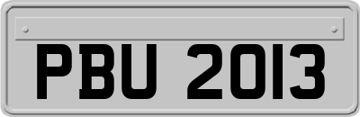 PBU2013