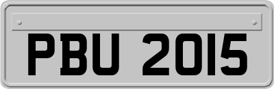 PBU2015