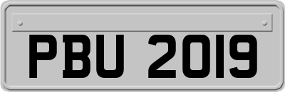 PBU2019