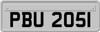 PBU2051