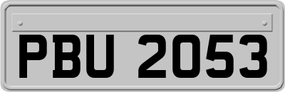 PBU2053