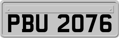 PBU2076