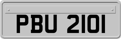 PBU2101